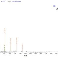Based on the SEQUEST from database of E.coli host and target protein, the LC-MS/MS Analysis result of CSB-CF007631MO could indicate that this peptide derived from E.coli-expressed Mus musculus (Mouse) Emb.